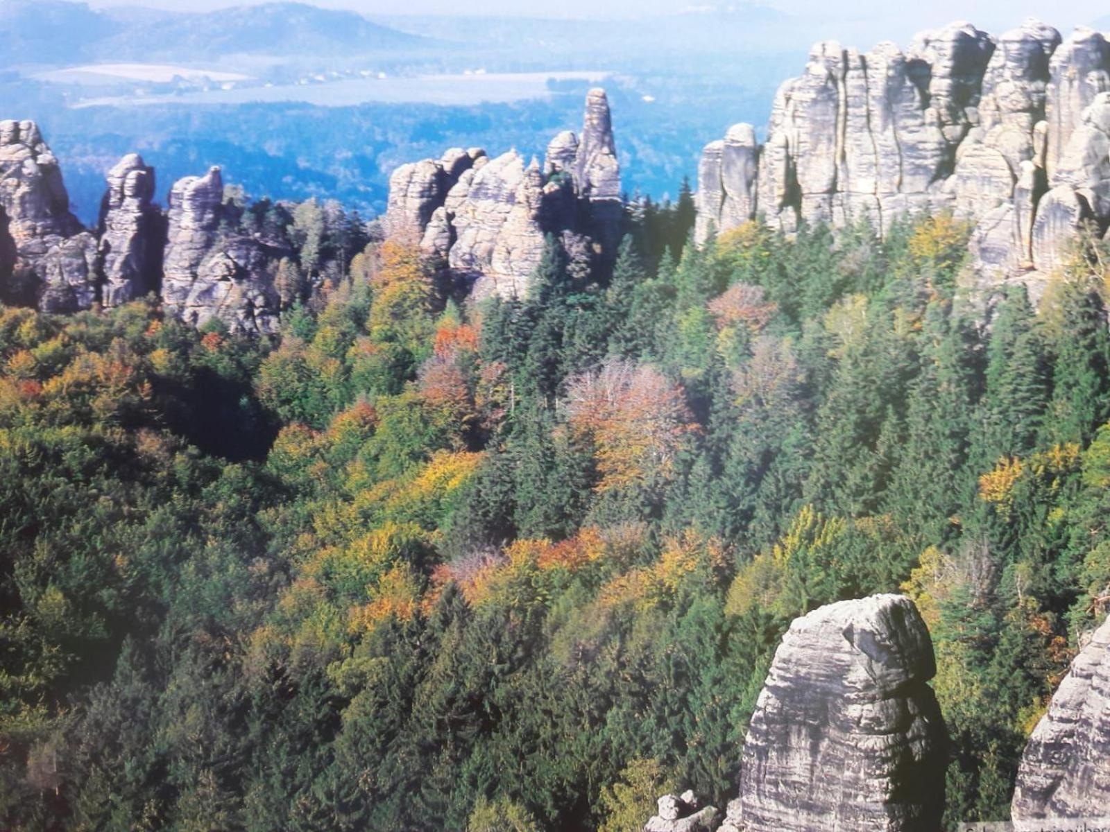 Ferienwohnung-Ritscher-In-Lichtenhain-2 Lichtenhain  Εξωτερικό φωτογραφία